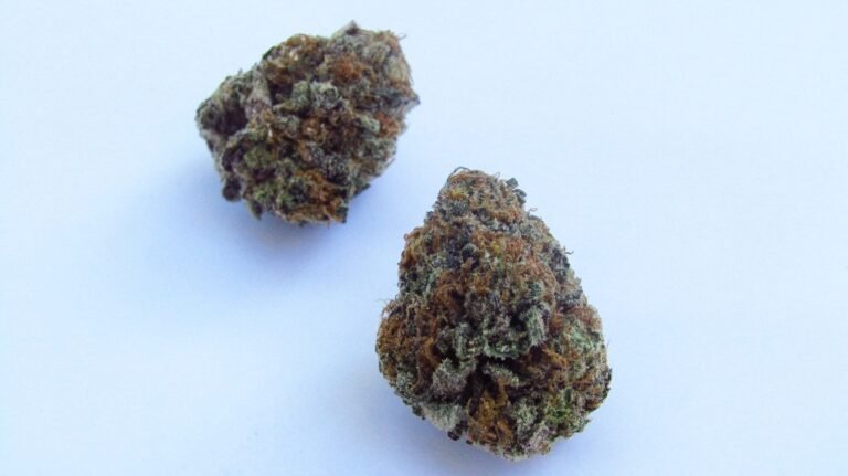 “All You Need to Know About Apple Tart Strain” “All You Need to Know About Apple Tart Strain”